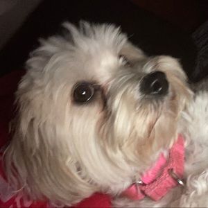 Meet your Posher, Cecilia